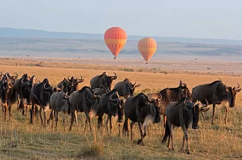 Best 4 days Tanzania safari packages