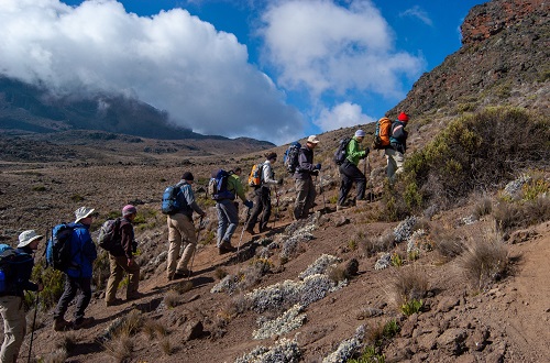 8 days Kilimanjaro Group Join Lemosho route