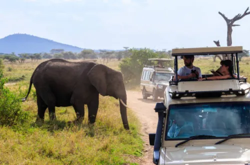 2 days Tanzania safari with kids adventure