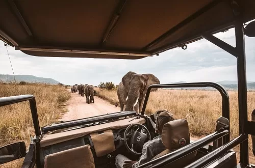 2 Days Tanzania Safari: Most Loved Short Trip