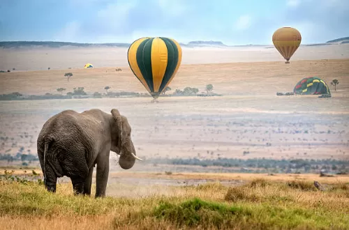 Soar Above the Serengeti with African Balloon Ride Safari Tours!