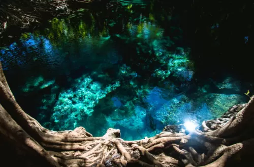 Relaxing Chemka Hotspring Day Trip from Arusha and Moshi