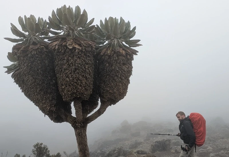 Climbing Kilimanjaro in February 2027/2028 Offer