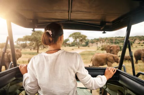 Ngorongoro Crater Day Trip: Planning a Day Tour in Paradise