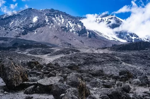 Discover the Majestic Shira Plateau Kilimanjaro