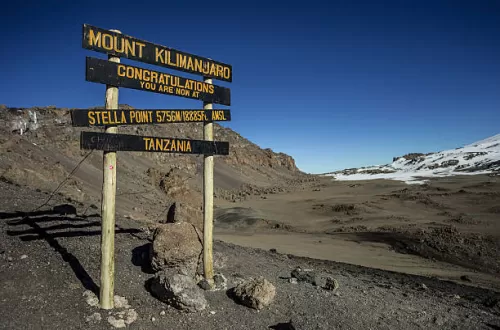 Conquer New Heights: Stella Point Kilimanjaro