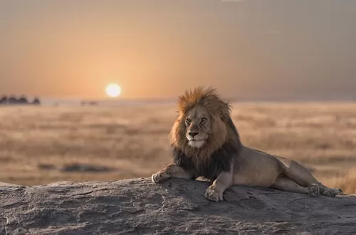 2-tägige Safari Tarangire und Ngorongoro