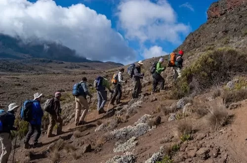 8 Tage Kilimandscharo-Gruppen-Lemosho-Route