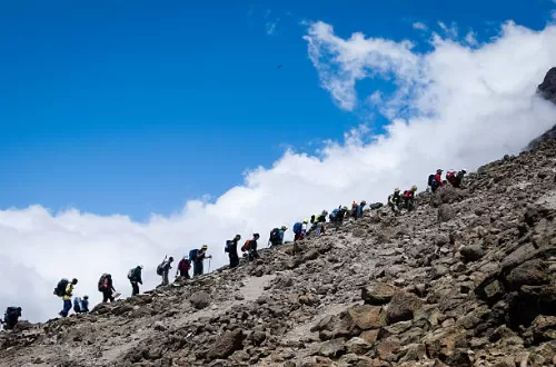 Abfahrten der Kilimandscharo-Gruppe: Daten und Preise 2024