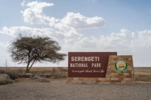 Beste Zeit für einen Besuch im Serengeti-Nationalpark