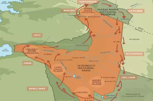 Migrationskarte des Serengeti-Nationalparks: Den Herden auf der Spur