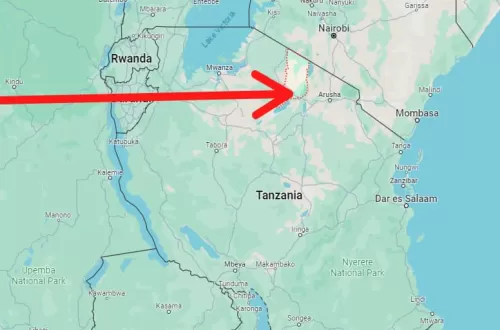 Ngorongoro Tansania: Eine Reise zu Afrikas Naturjuwel