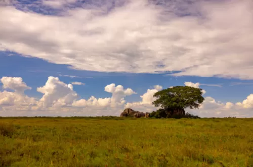 Verstehen der Wettermuster im Serengeti-Nationalpark