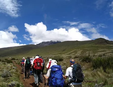 Marangu route Kilimanjaro joining group tour